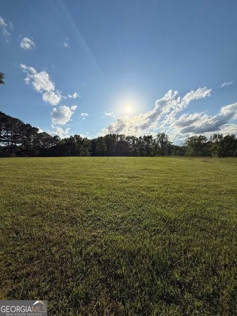 LOT 2 SOUTH OF Redwine Road - Photo 1