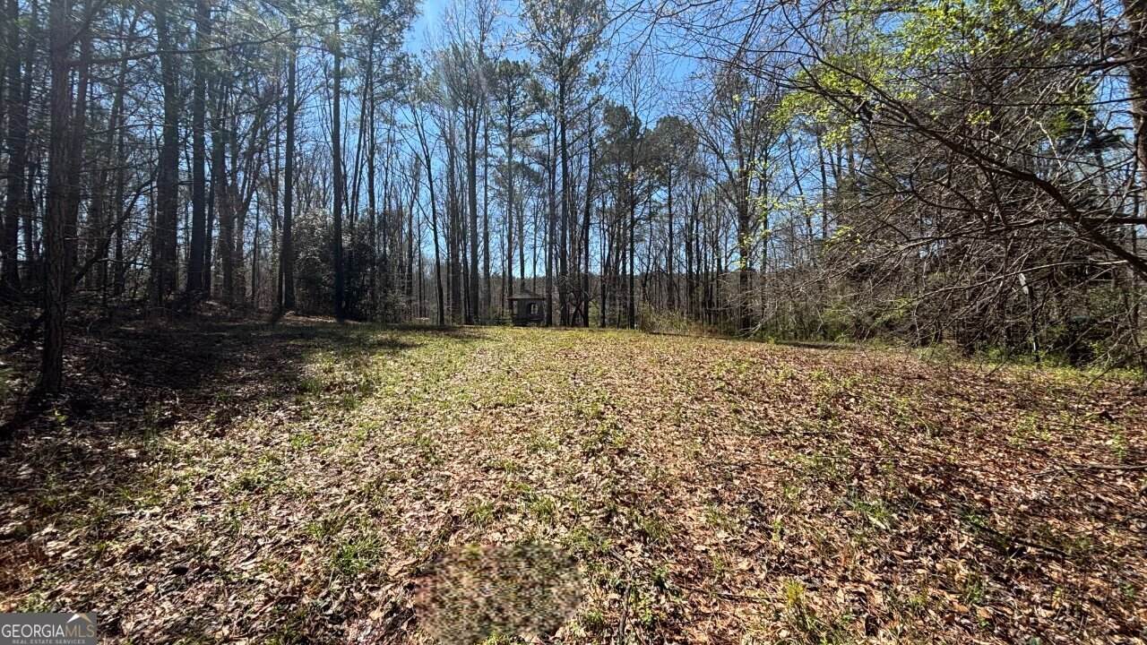 197 Cowan Road - Photo 1