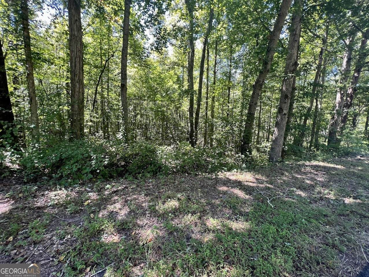 0 Old Draketown Trail (5.62 Ac) - Photo 1