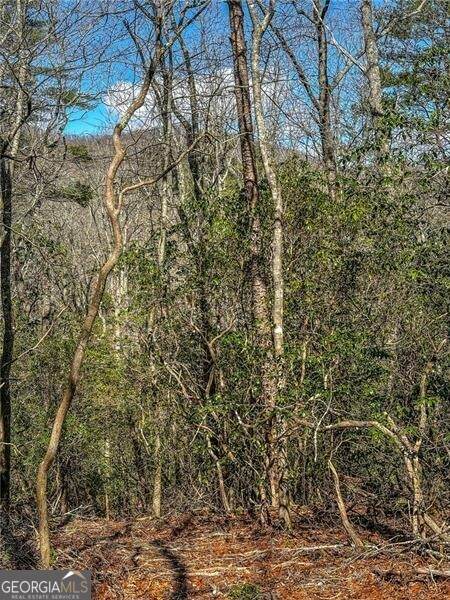 0 Ts Jarrard Road - Photo 1