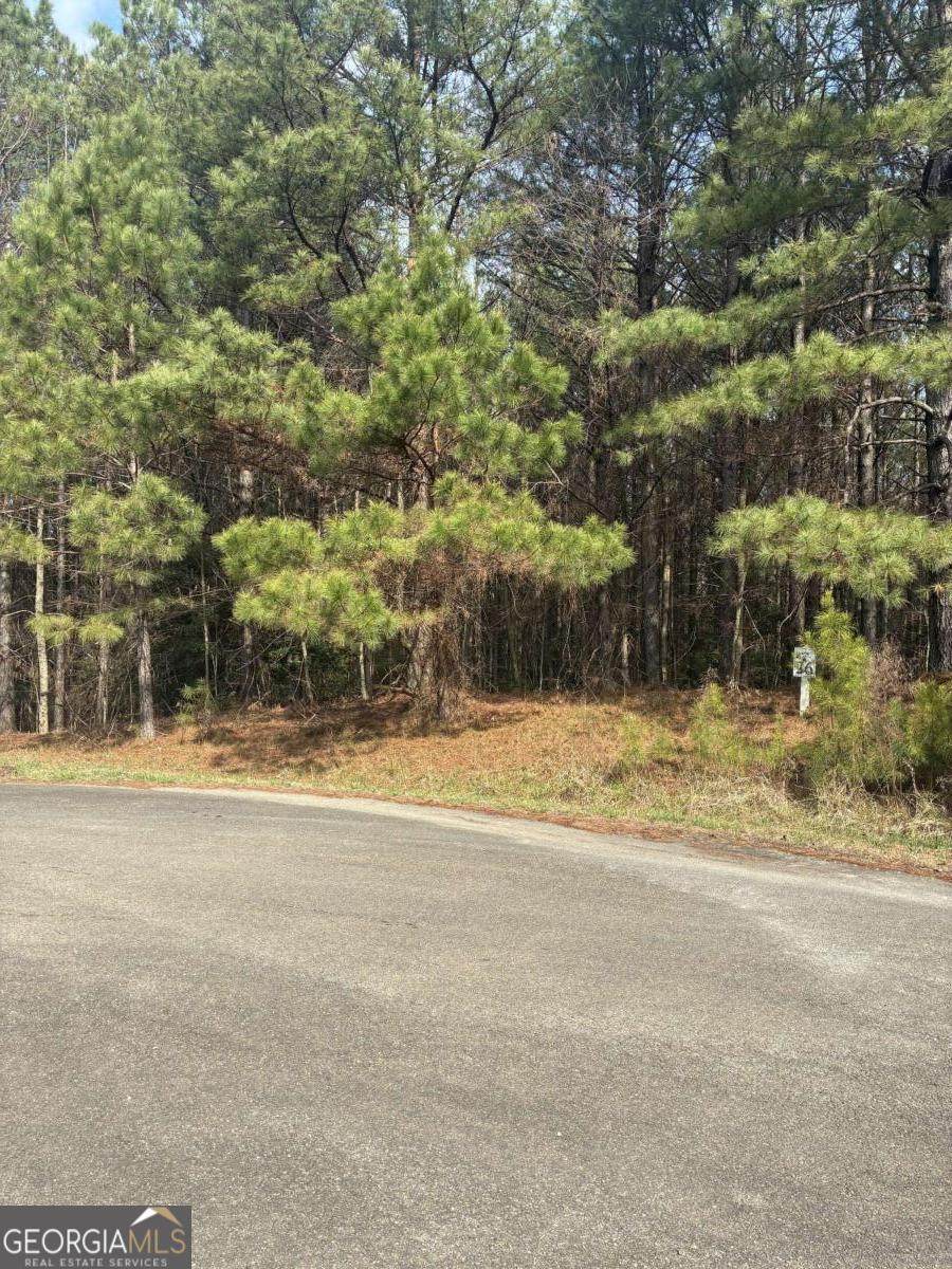 26 Foxpaw Leaf Lane - Photo 1