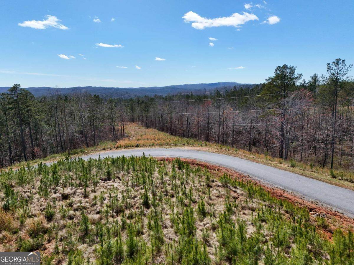 155 Shallow Water Trail - Photo 1