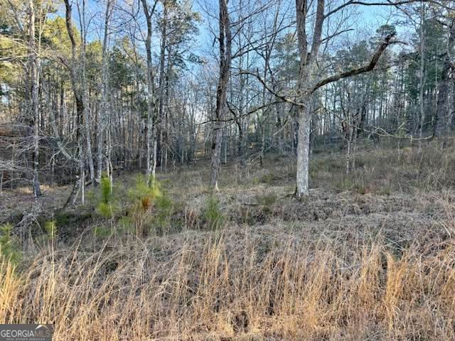 0 River Ridge Trail - Photo 1