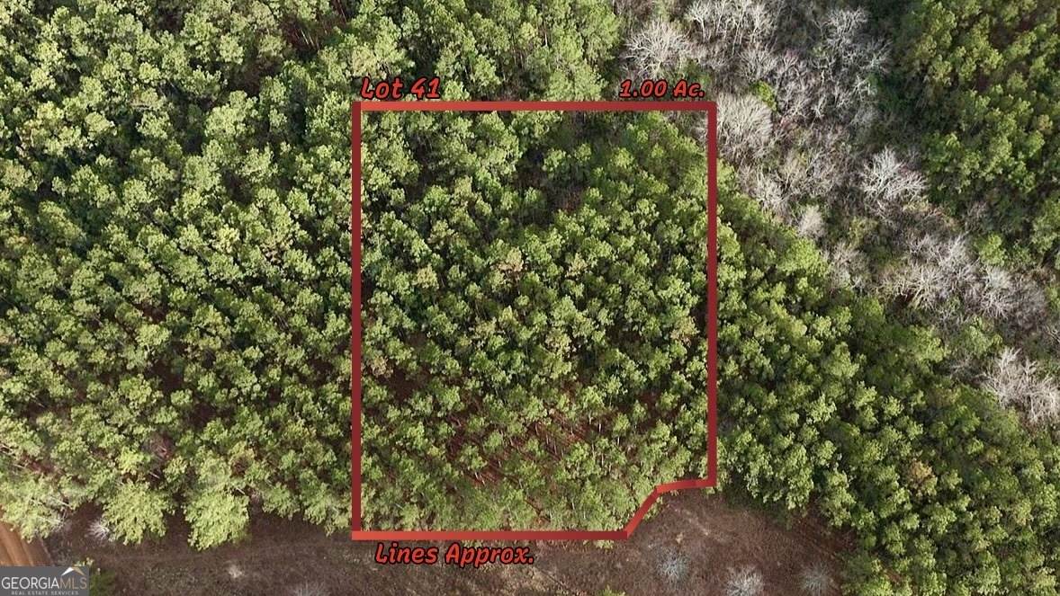 0 County Road 78 - Photo 1