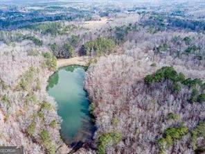 0 Williams Tract D Lane - Photo 1