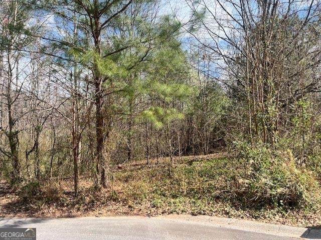 78 Heights Hollow - Photo 1
