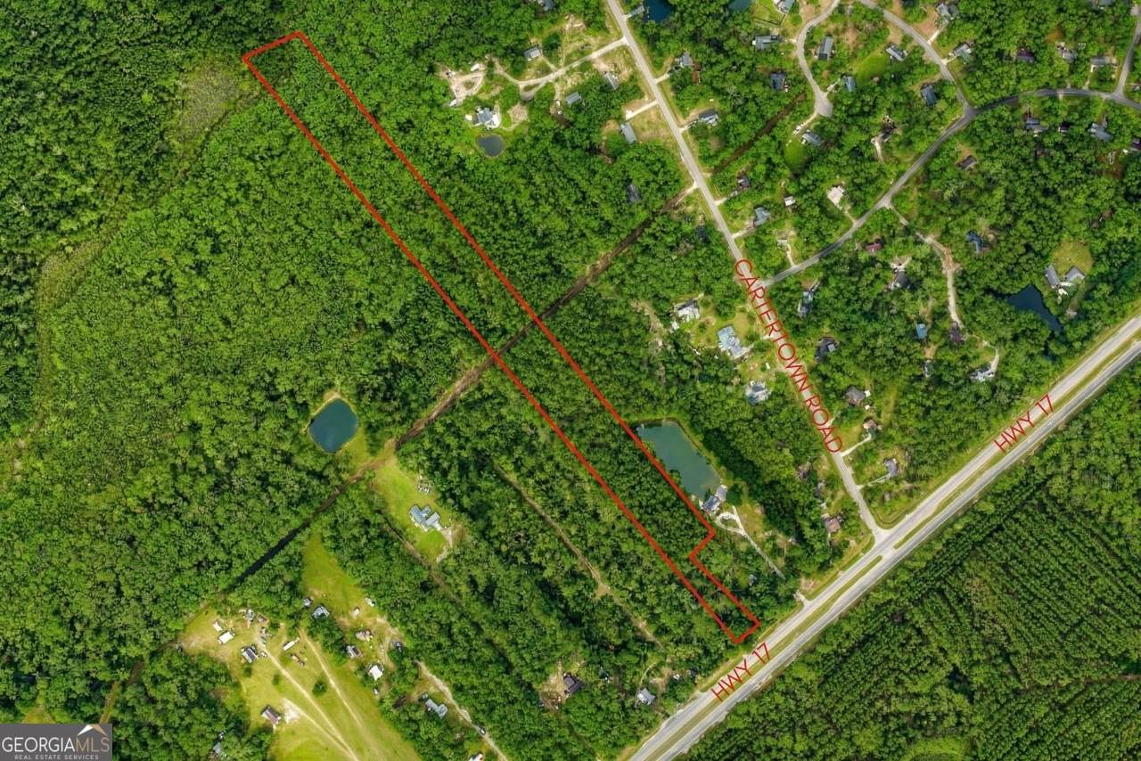8454 Ga 17 Highway - Photo 1