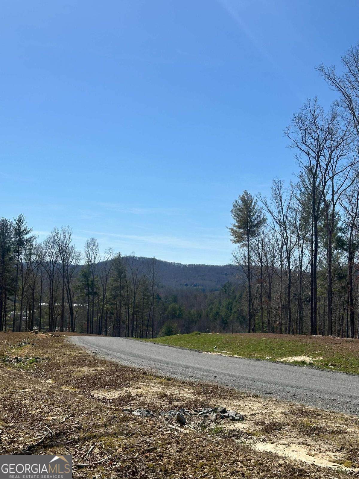 LOT 188 The Ridges - Photo 1