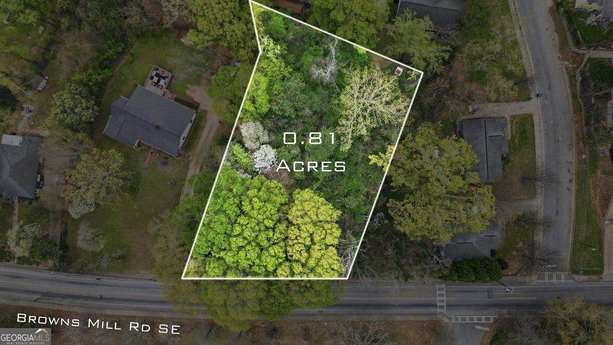 2011 Browns Mill Road - Photo 1