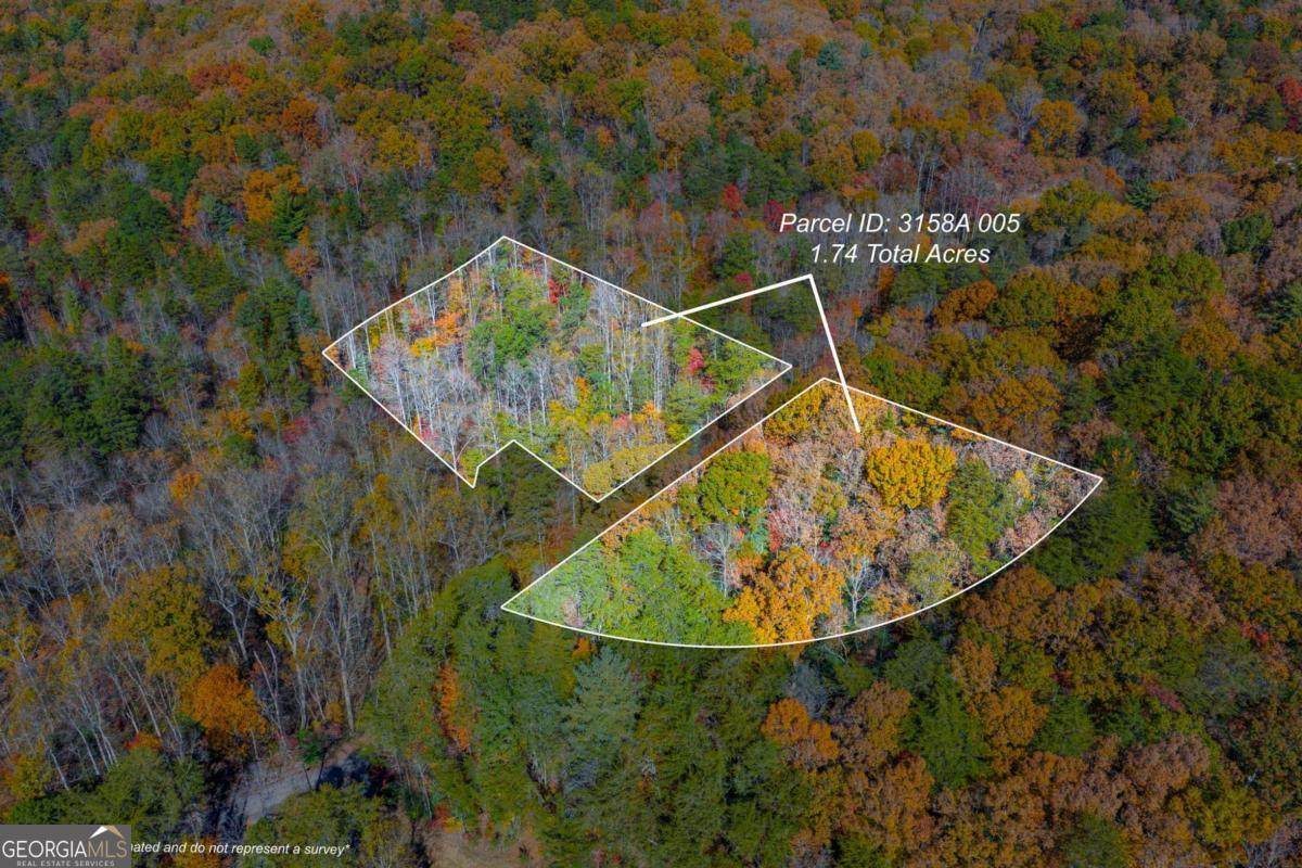0 Willard Mountain Road - Photo 1
