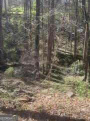 0 Jackson Road - Photo 1