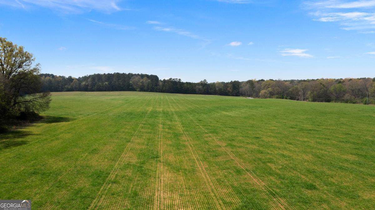 0 Taylorsville Macedonia Rd. Tract 1 Road - Photo 1