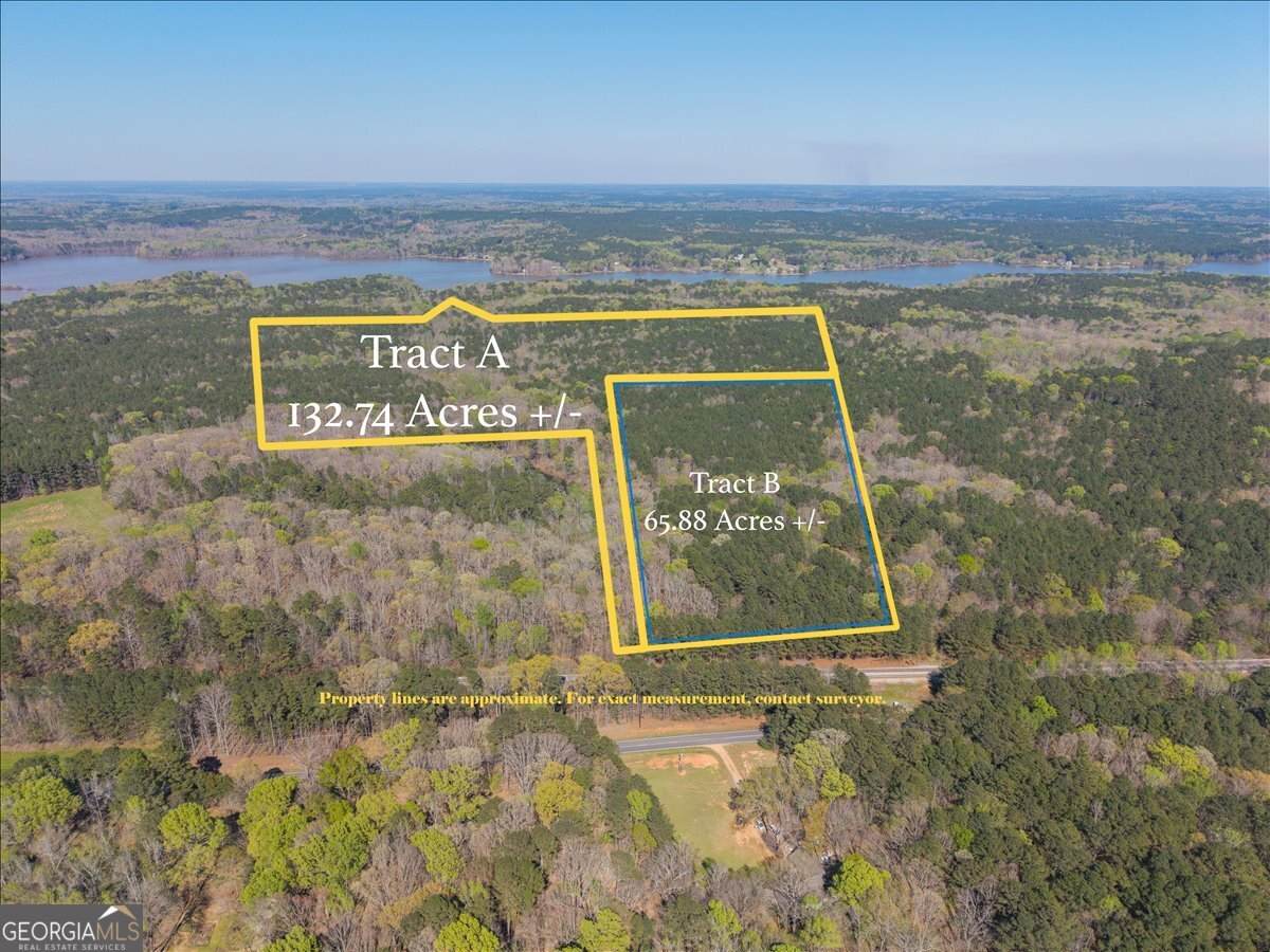 198 +/- ACRES Apalachee Woods Trail - Photo 1