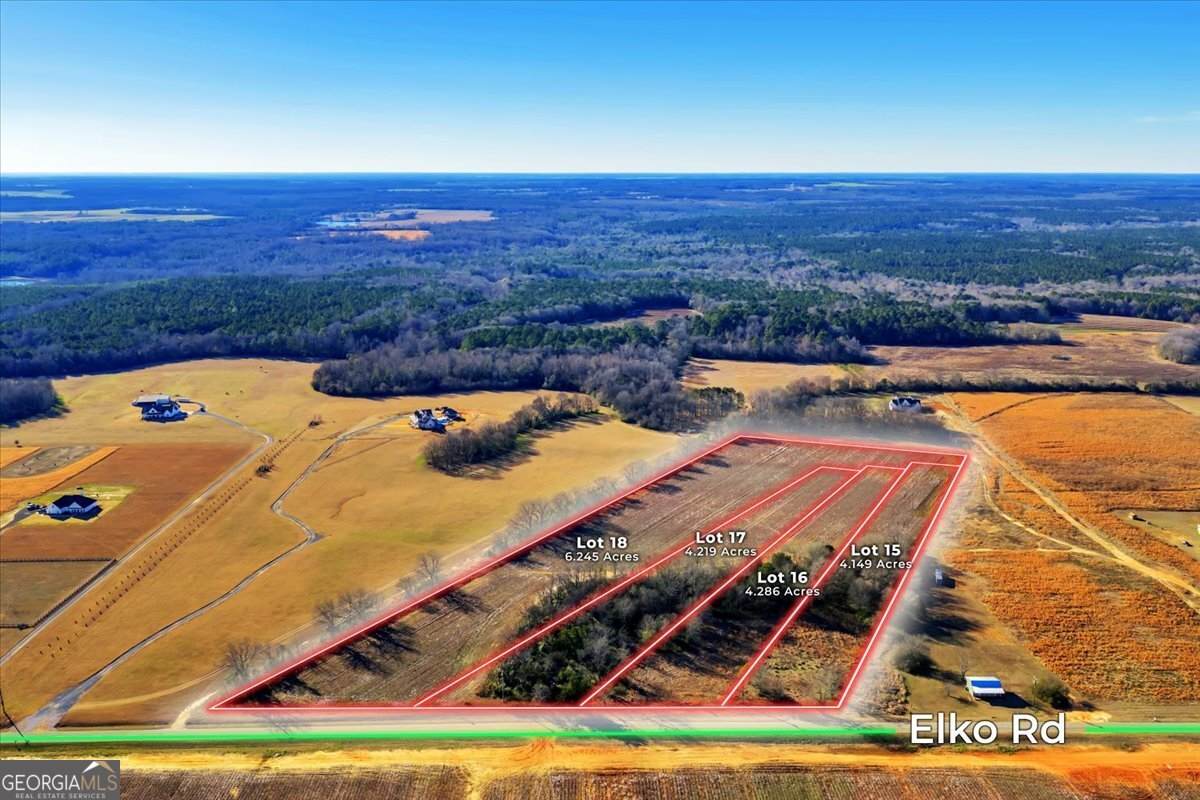 2587 (LOT 17) Elko Road - Photo 1