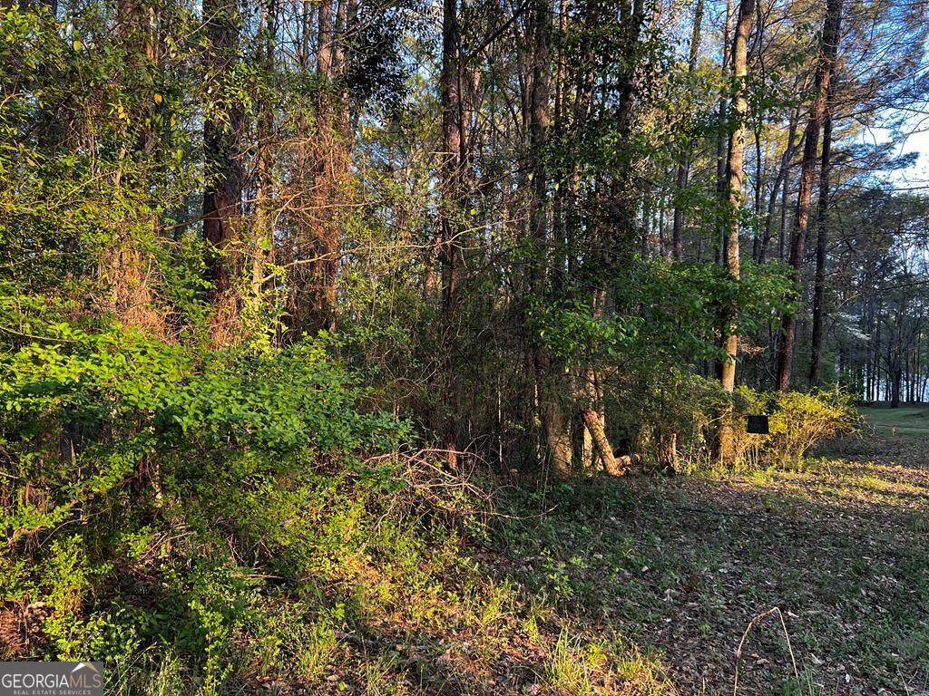 203 View Pointe Lane - Photo 1