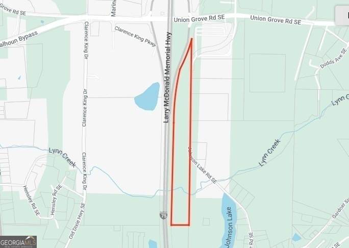 273 Johnson Lake Road - Photo 1