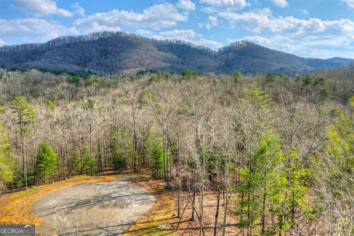 LT 13 Rocky Ridge - Photo 1