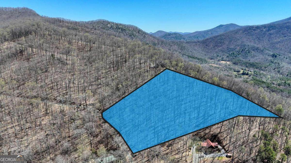 LOT 100 Timberline Acres - Photo 1
