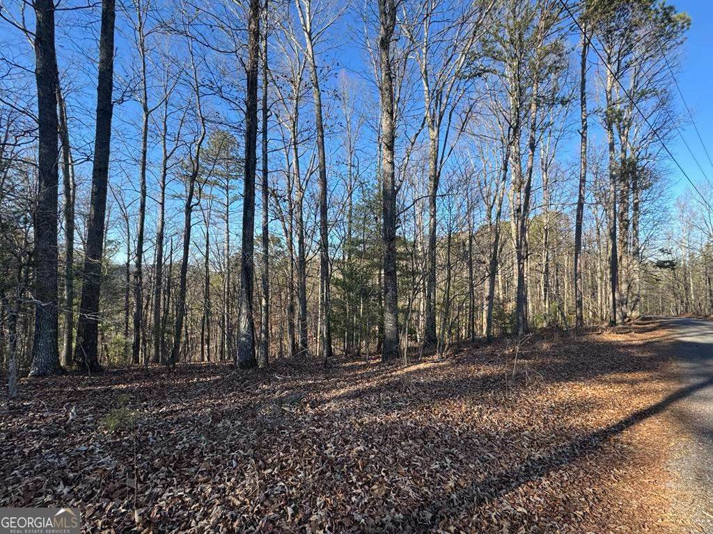 0 Rebekah Ridge - Photo 1