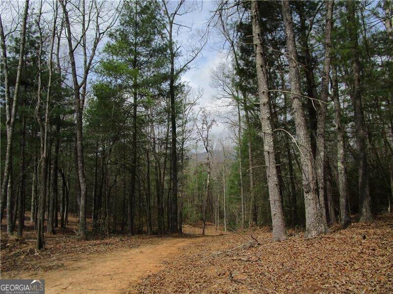 0 East New Hope Road - Photo 1