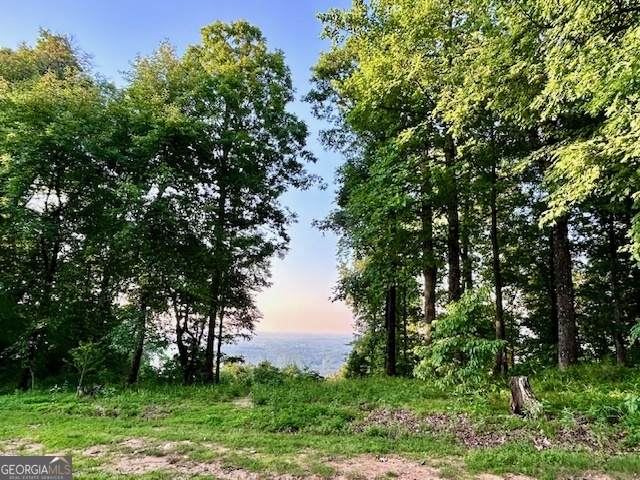0 Mountainside Drive - Photo 1