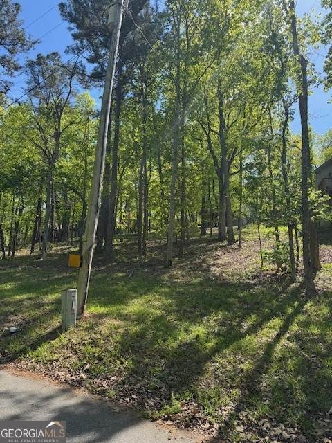 LOT 40 Royal Lodge Estates - Photo 1