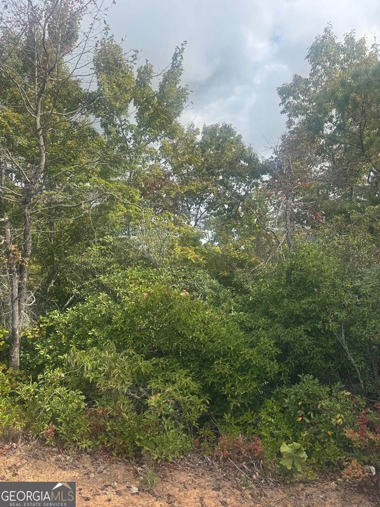 LOT 16 Brown Hawk Drive - Photo 1