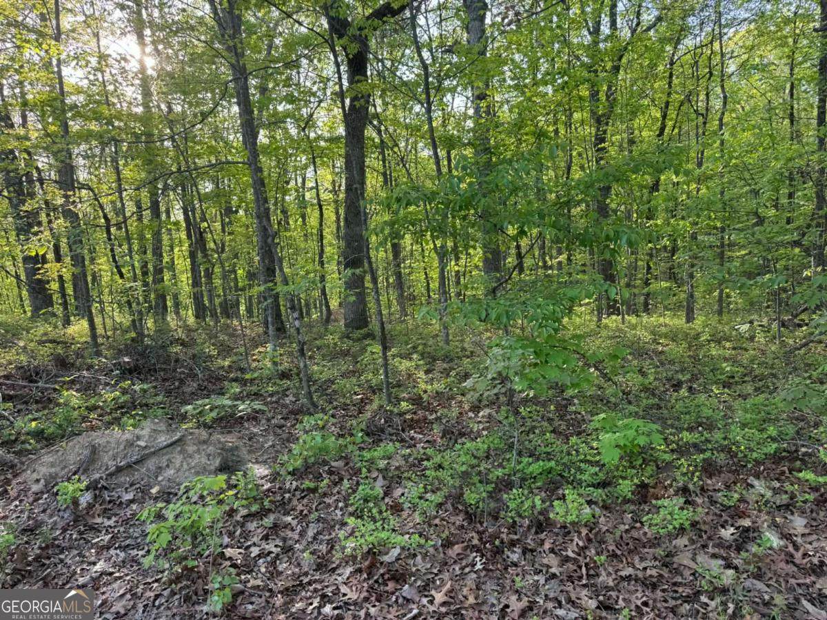 1440 Hanna Drive - Photo 1
