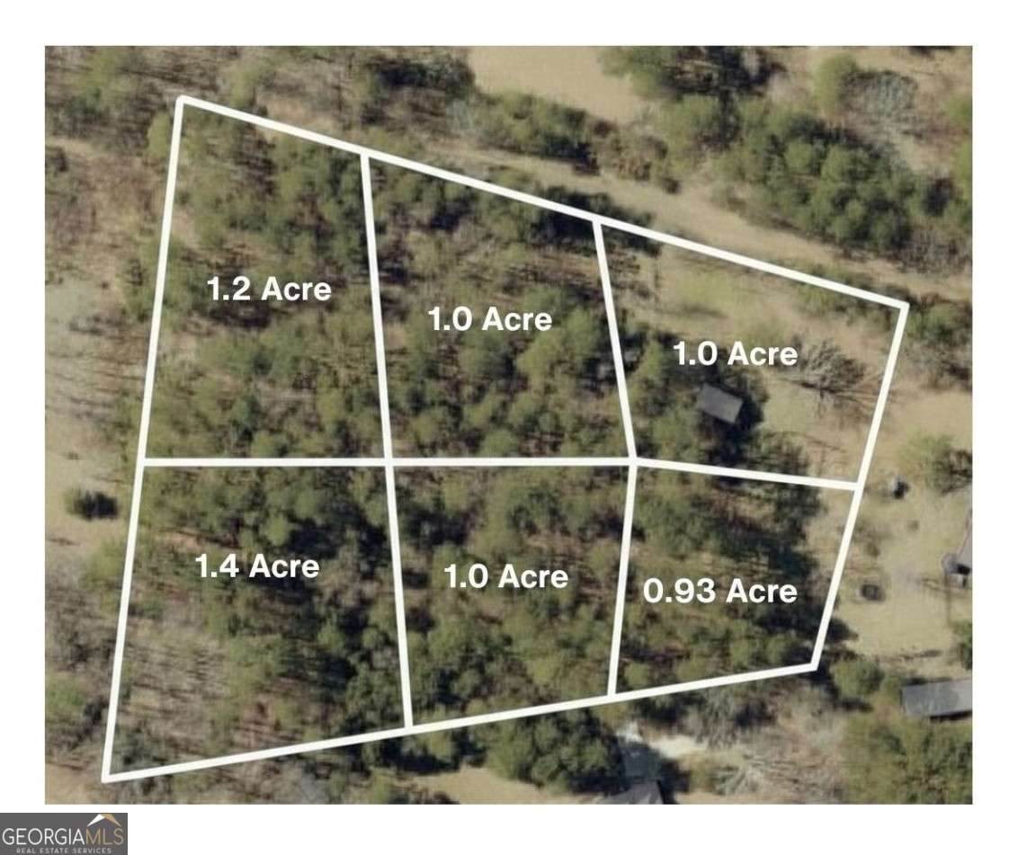 2903 Cammie Wages Road - Photo 1