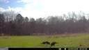 2230 Reese Road - Photo 14