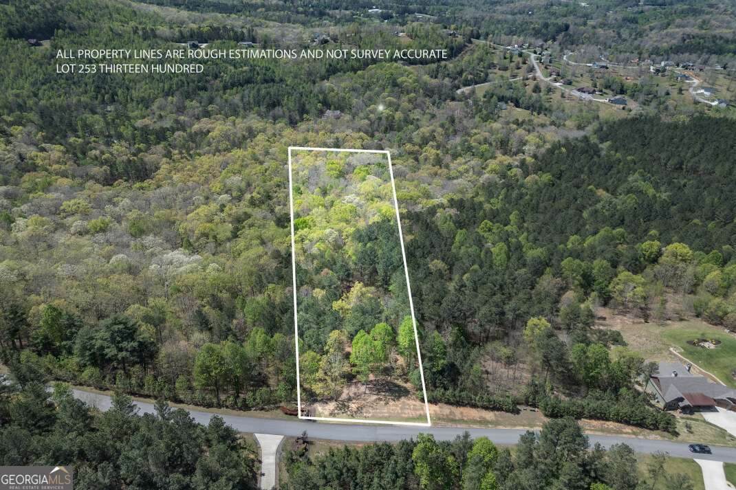 LOT 253 The Cove @ 1300 - Photo 1