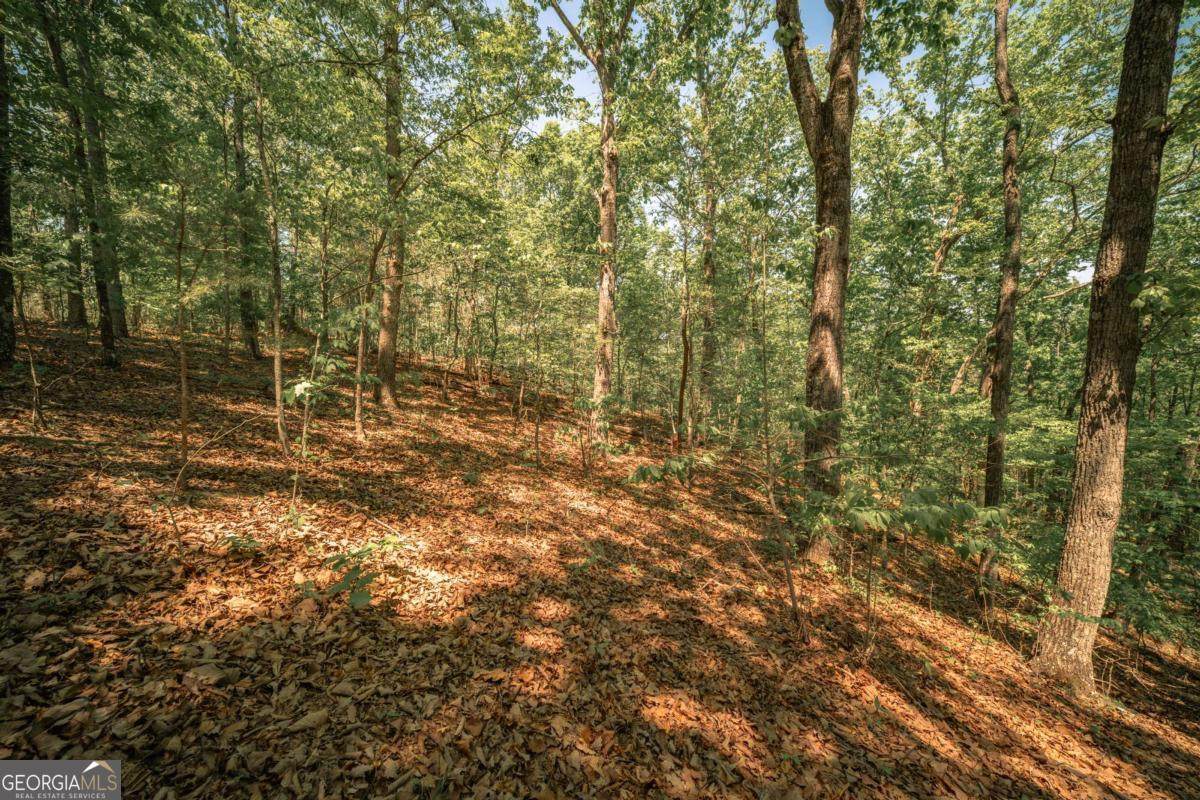 0 Hancock Mountain Trail - Photo 1