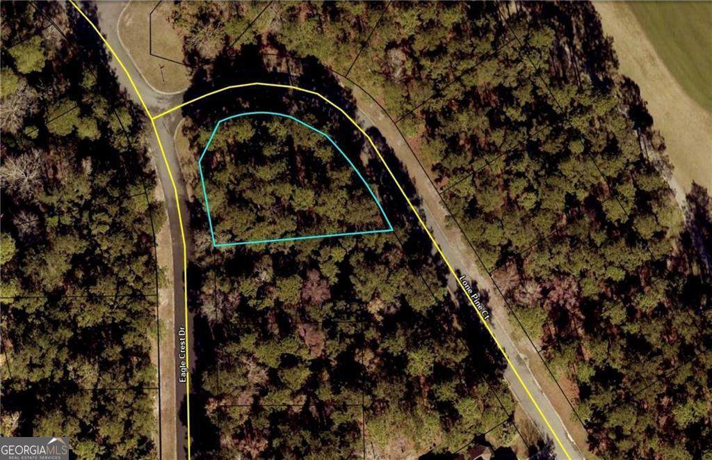 0 Eagle Crest Drive - Photo 1