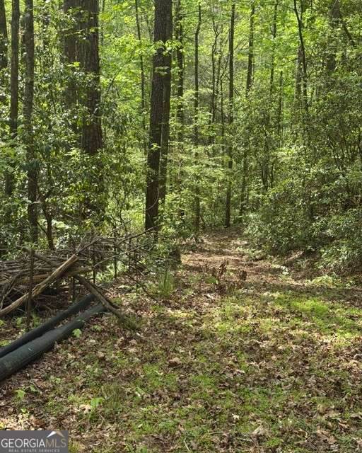 348 Hemlock Trail - Photo 1