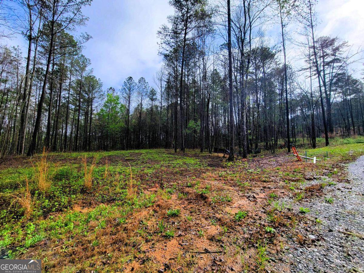 https://bt-photos.global.ssl.fastly.net/gamls/orig_boomver_1_10738957-2.jpg