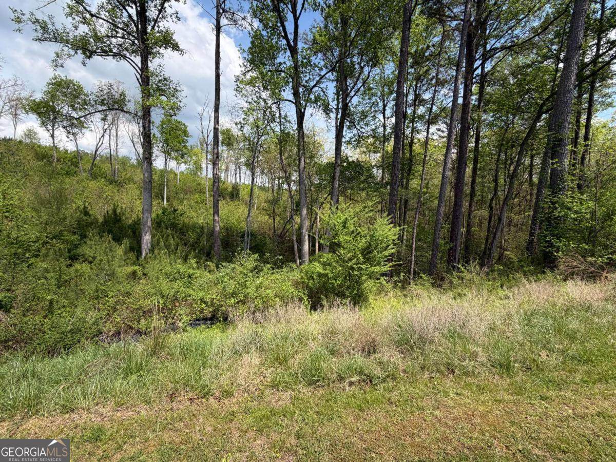 238 Lecroy Drive - Photo 1