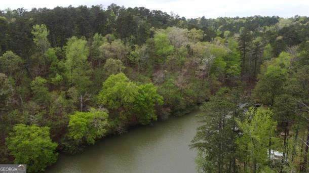 LOT #4 Frontier Shores Road - Photo 1