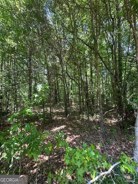 0 Mize Road - Photo 1