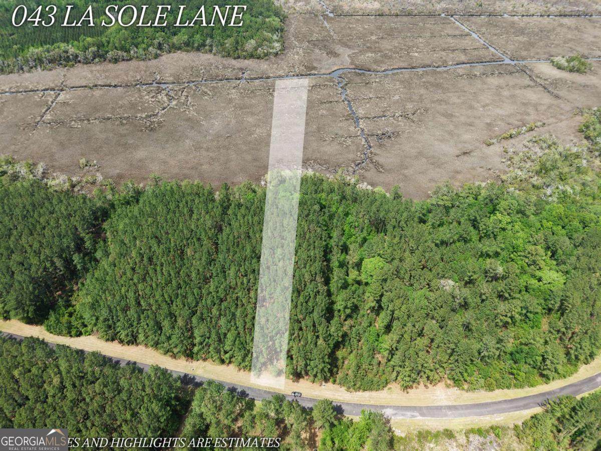 LOT 43 La Sole Lane - Photo 1