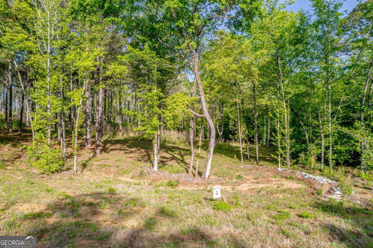 126 Falls Lane - Photo 1