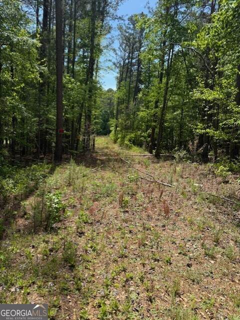 580 Dutchman Road - Photo 1