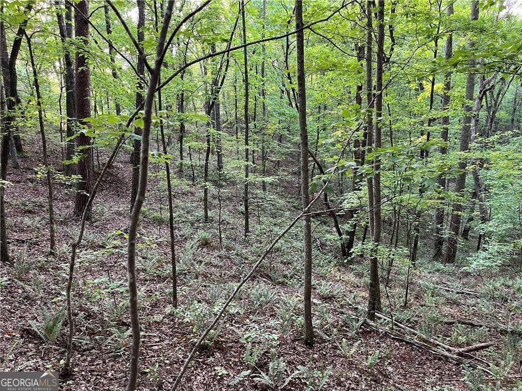 1720 Rebekah Ridge Road - Photo 1