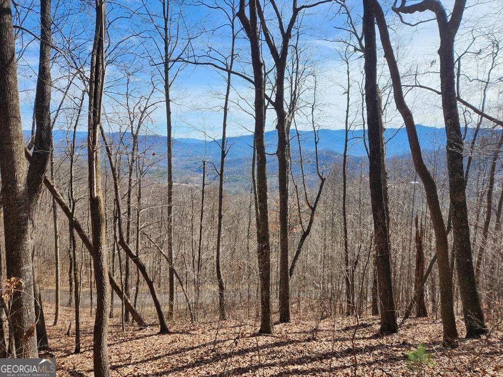 #28 Overlook Loop - Photo 1