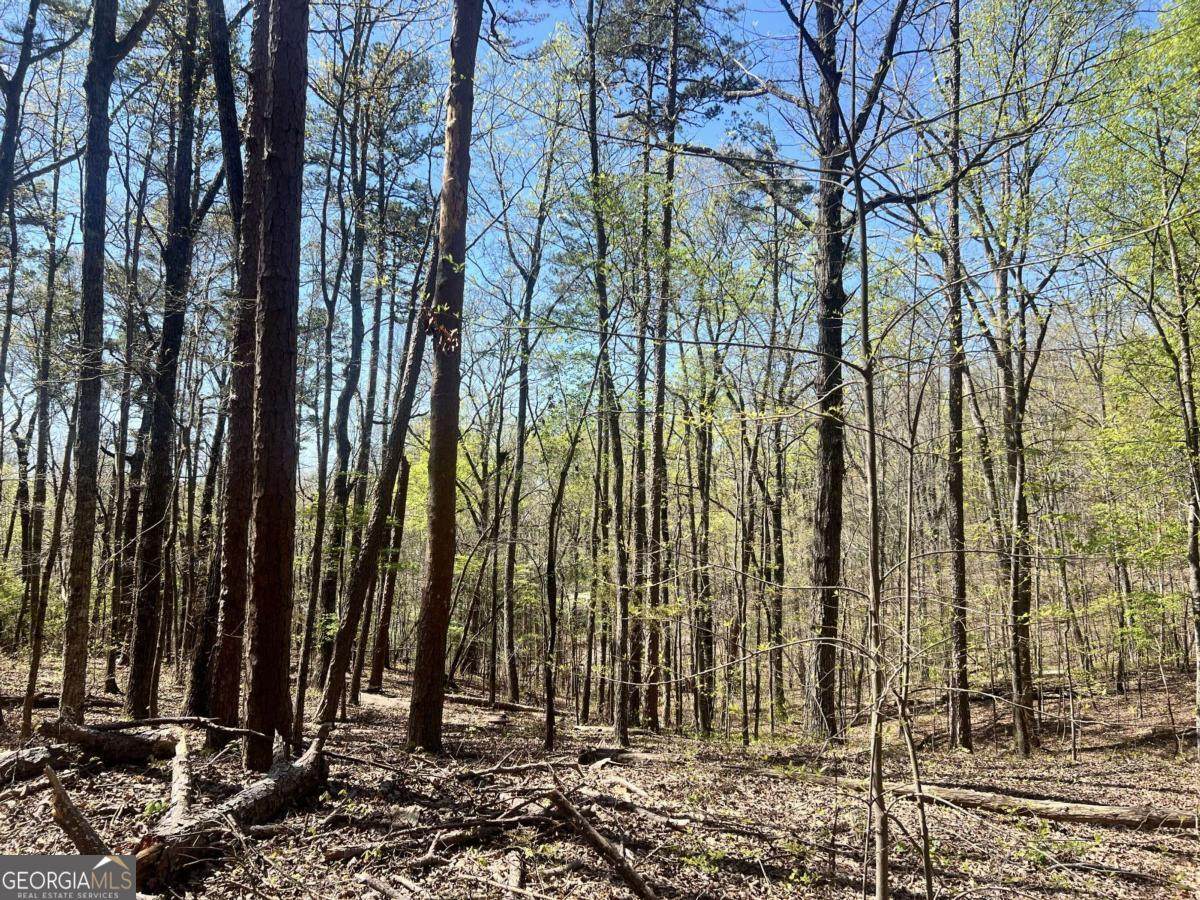 LOT 93 Doll Mountain Road - Photo 1