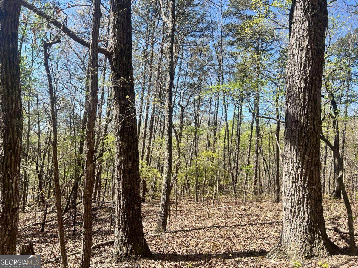 LOT 92 Doll Mountain Road - Photo 1