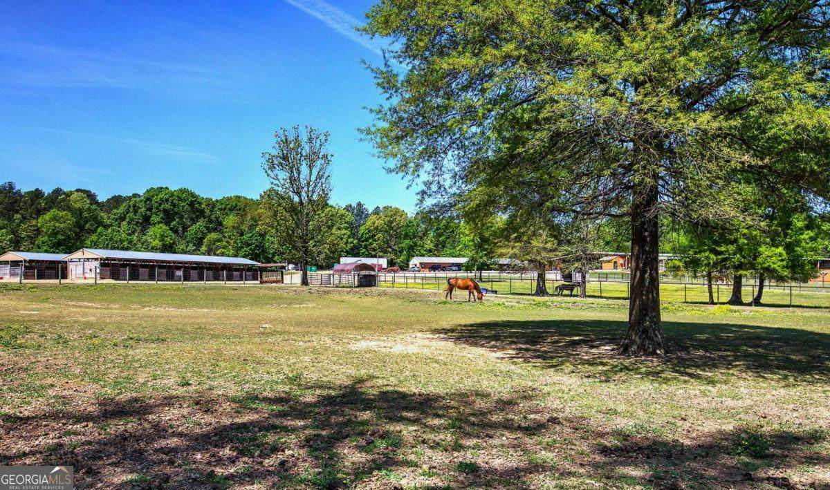 486 County Line Road - Photo 1