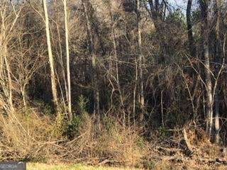 0 Hwy 135 - Photo 1