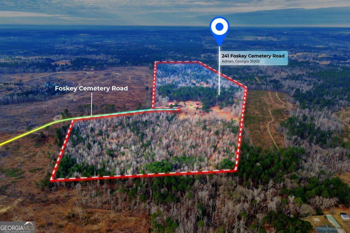 241 Foskey Cemetary Road - Photo 1