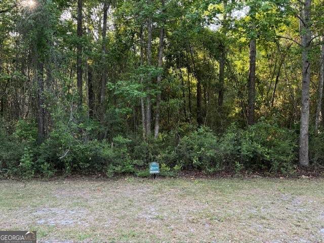 V/L 21 Lighthouse Circle - Photo 1