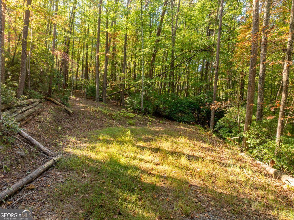 TRACT 1 Turniptown Road - Photo 1